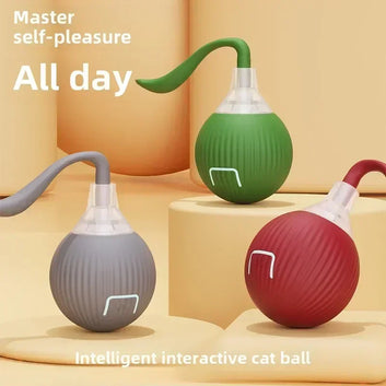 WhirlTail Rechargeable Interactive Rolling Ball Toy