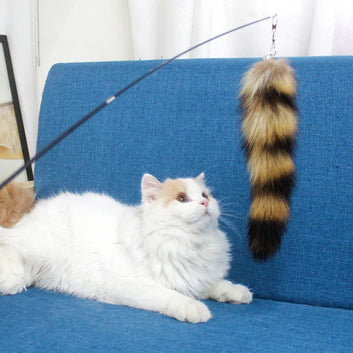 FuzzyFox Feather Stick Cat Toy
