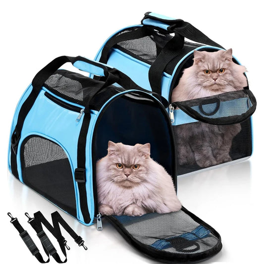 BreezeFold Portable Mesh Pet Carrier Bag
