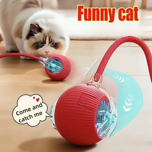 WhirlTail Rechargeable Interactive Rolling Ball Toy