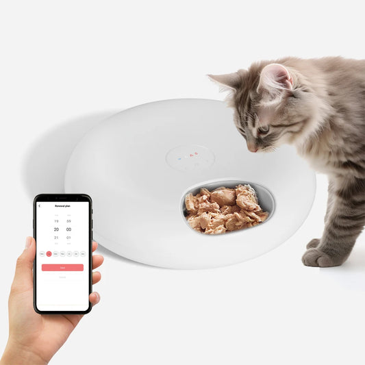 SmartFresh 6L Automatic Pet Feeder – Wet & Dry Food Dispenser